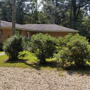 Bush Trimming by RodIsBack Solutions reviewed on August 19, 2025