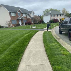 yard service by Quality cuts reviewed on August 17, 2025