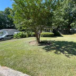 lawn care services by Andrews Landscaping reviewed on August 20, 2025