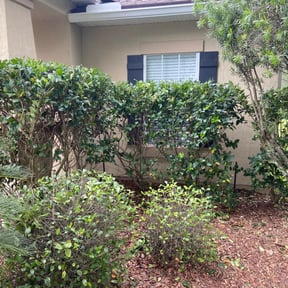 Bush Trimming by JA Performance Outdoor Services reviewed on August 19, 2025