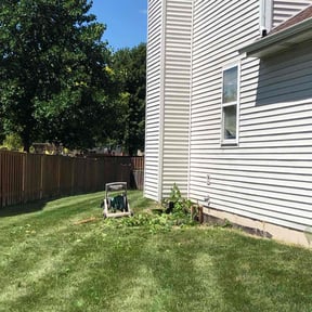 Bush Trimming by Rios Enterprise Lawn Mowing Services LLC reviewed on August 17, 2025