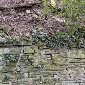 Cleanups by Best Local Lawn Service LLC reviewed on August 15, 2025