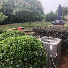 Bush Trimming by Delgado landscaping reviewed on August 15, 2025