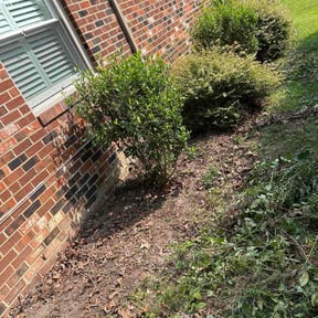 Flower Bed Weeding by ALL ELITE LAWNCARE reviewed on July 17, 2026