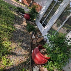 Leaf Removal by Swift lawn &amp; landscape reviewed on September 13, 2025