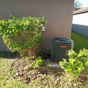 Bush Trimming by A&B lawn Service reviewed on August 17, 2025