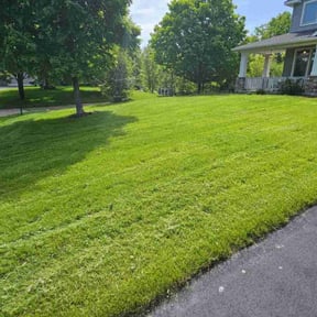 residential landscaping by Maryhaven farm reviewed on February 12, 2026