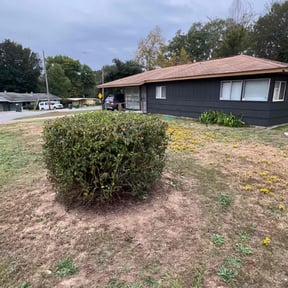 Bush Trimming by James Neely Landscape reviewed on January 7, 2026