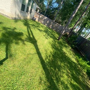 gardening service by Frank's Landscaping reviewed on August 19, 2025