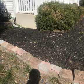 Flower Bed Weeding by Family Lawn Care reviewed on August 15, 2025