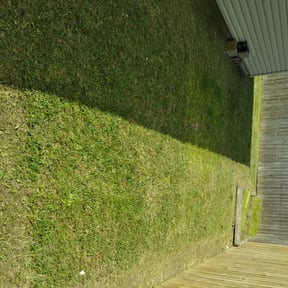 Bush Trimming by Big Country Lawn Care, LLc reviewed on August 17, 2025