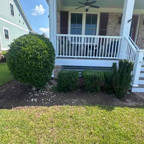 Bush Trimming by Integrity Lawn Care reviewed on July 17, 2026