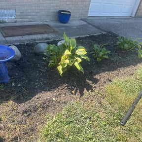 Flower Bed Weeding by Forever Green FG LLC reviewed on November 4, 2025