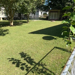 landscaping by Greg's Landscaping reviewed on December 14, 2023