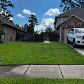 yard service by New Surroundings reviewed on August 18, 2025