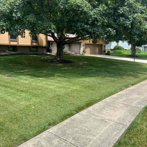 lawn care by LA Lawncare Service reviewed on August 19, 2025