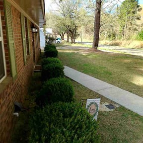 Leaf Removal by jalapenolandscaping reviewed on March 19, 2026