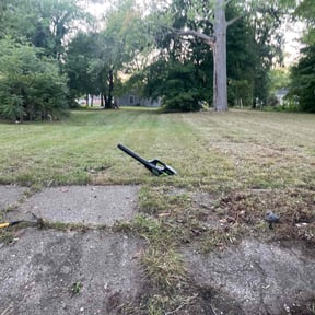 Leaf Removal by Rose&#039;s Landscaping reviewed on September 21, 2025