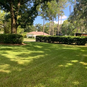 Bush Trimming by Pro Lawn reviewed on November 21, 2025