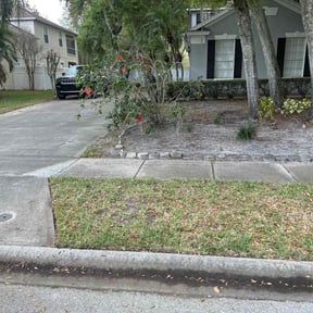 Leaf Removal by Monteverde Landscaping reviewed on September 7, 2025