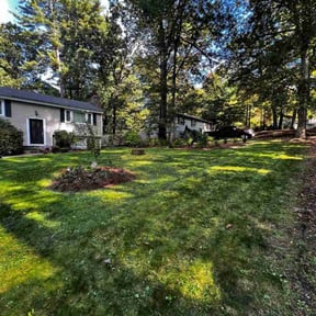 grass cutting by Oscar Lawncare Services LLC reviewed on April 27, 2024