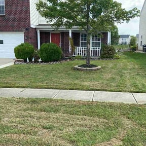 yard care by Ok Jim Lawncare reviewed on August 15, 2025
