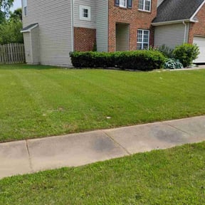 gardening service by TOMS - Total Outdoor Maintenance reviewed on December 4, 2025