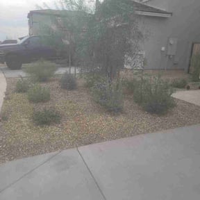 Bush Trimming by Up2Date Management Service's LLC.., reviewed on February 16, 2026