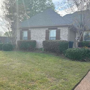 Bush Trimming by Mowtivated Landscaping reviewed on March 22, 2026