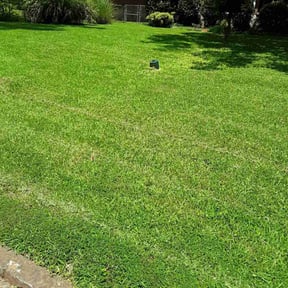 yard work by Milteemowing lawncare reviewed on August 18, 2025