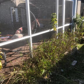 Flower Bed Weeding by Carrollton Lawn Service reviewed on August 16, 2025