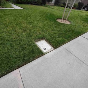 lawn maintenance by Vill’s landscaping reviewed on May 7, 2025