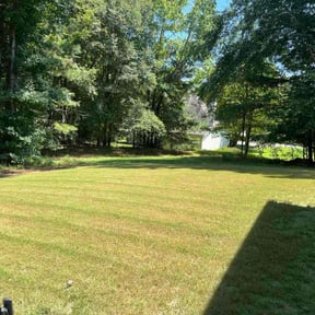 Bush Trimming by Ransom lawn care reviewed on November 8, 2025