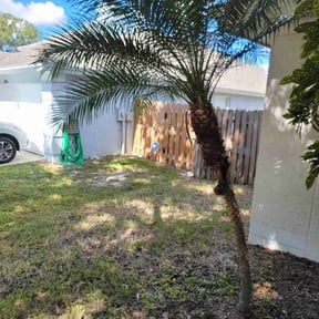 Bush Trimming by LISKO LAWNCARE AND TRASH REMOVAL LLC reviewed on August 18, 2025