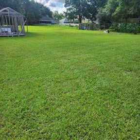 turf maintenance by Richard&#039;s Services reviewed on August 19, 2025