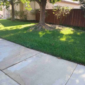 gardening service by Lindsay’s lawncare reviewed on August 17, 2025