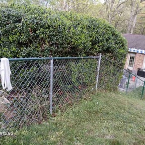 Bush Trimming by F&D lawncare reviewed on August 14, 2025