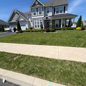 yard service by S-A-S Lawns N More reviewed on August 16, 2025
