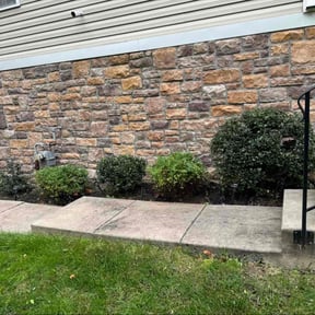 Bush Trimming by Spinelli Scenery Solutions LLC. reviewed on December 4, 2025