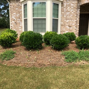Bush Trimming by Green Craft Gardening reviewed on August 15, 2025