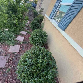 Bush Trimming by Hugheslandscaping reviewed on March 30, 2026