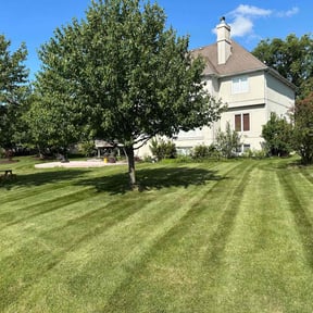 yard work by Silva lawn care reviewed on December 12, 2025