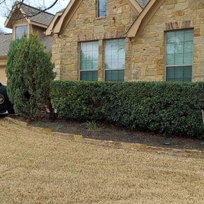 Bush Trimming by Jero's Landscape reviewed on August 19, 2025