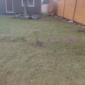 Leaf Removal by My Master Garden reviewed on September 18, 2025