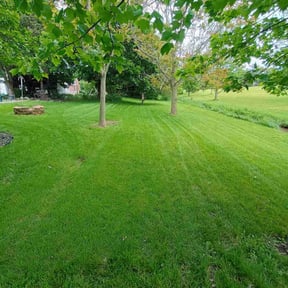 yard care by "The LawnMower Man" Lawn Care Service reviewed on August 20, 2025