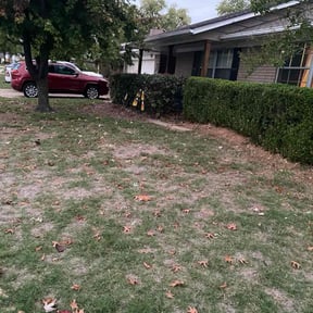 Bush Trimming by Hensley Property Management reviewed on August 15, 2025