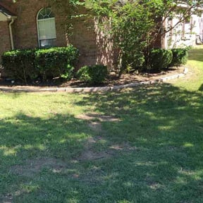 Bush Trimming by Alpha Brothers Property Maintenance reviewed on August 21, 2025