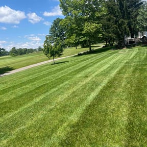 landscaping services by Countryside lawn and garden reviewed on August 20, 2025
