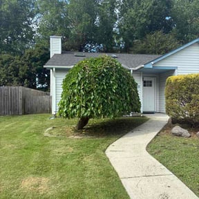 Bush Trimming by DISCOVERY LANDSCAPE LLC reviewed on July 14, 2026