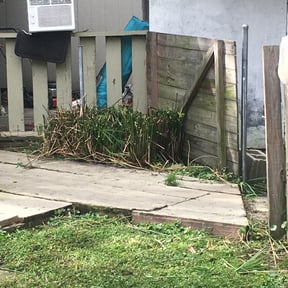 Bush Trimming by Jack of all Trades Multiservices reviewed on August 19, 2025